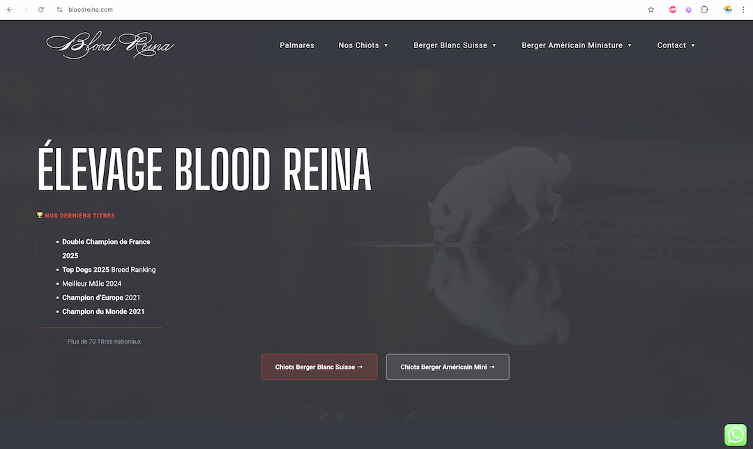 Site Bloodreina livré par OWAG