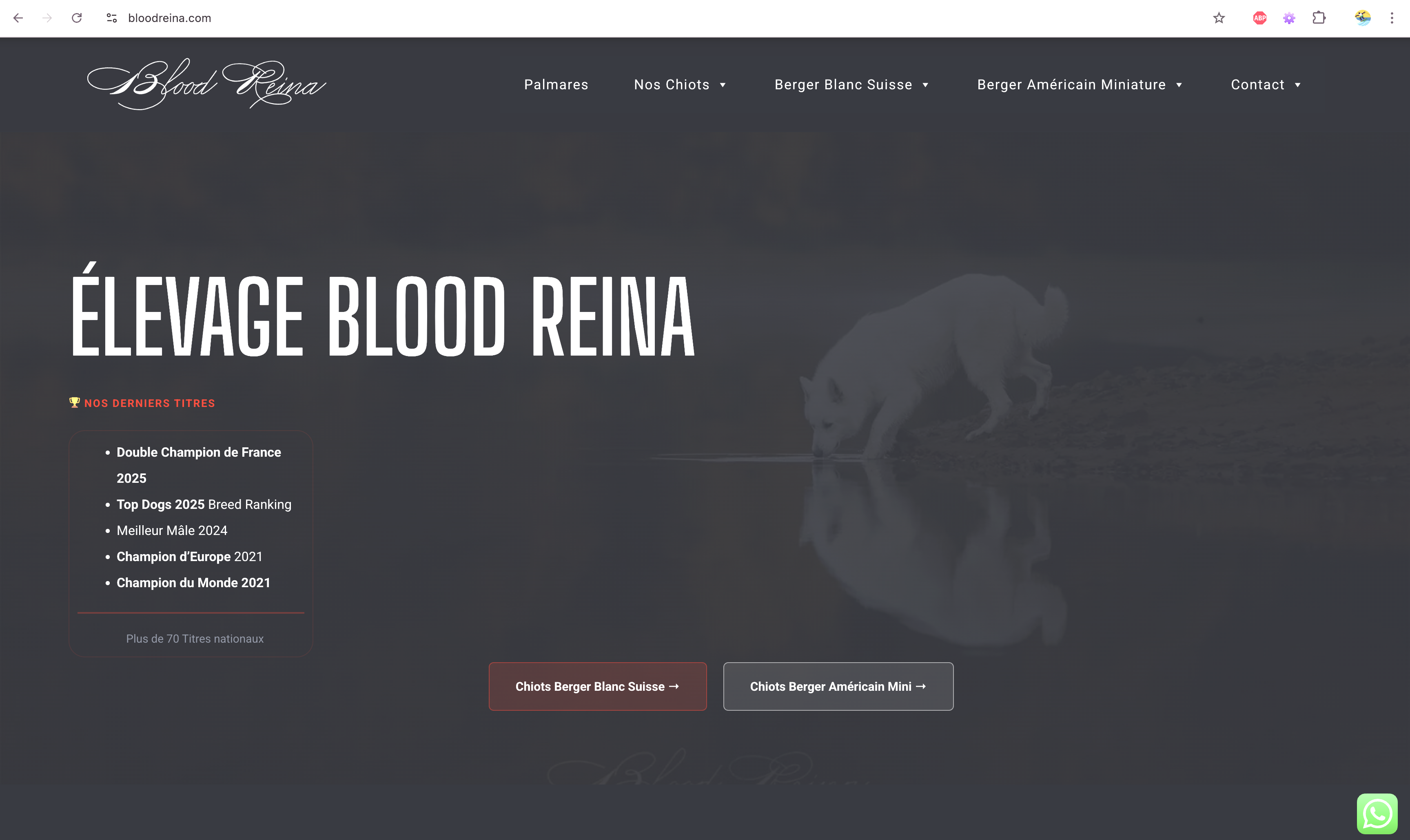 Capture du site Élevage Blood Reina