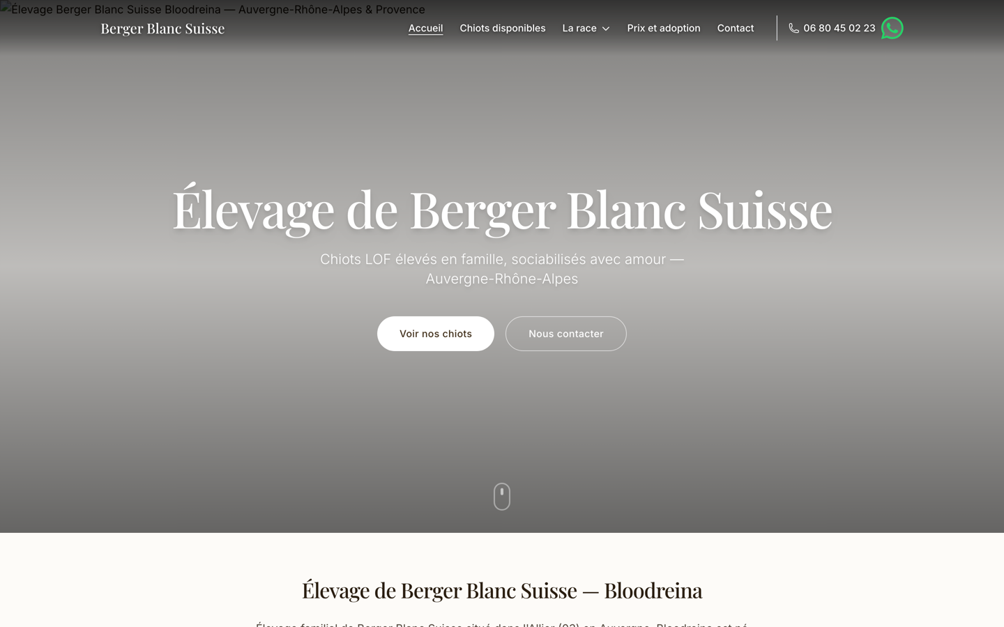 Capture du site Berger Blanc Suisse