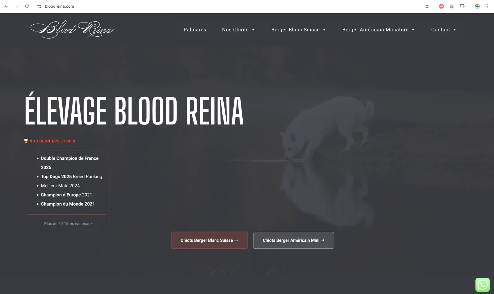 Site Bloodreina livré par OWAG
