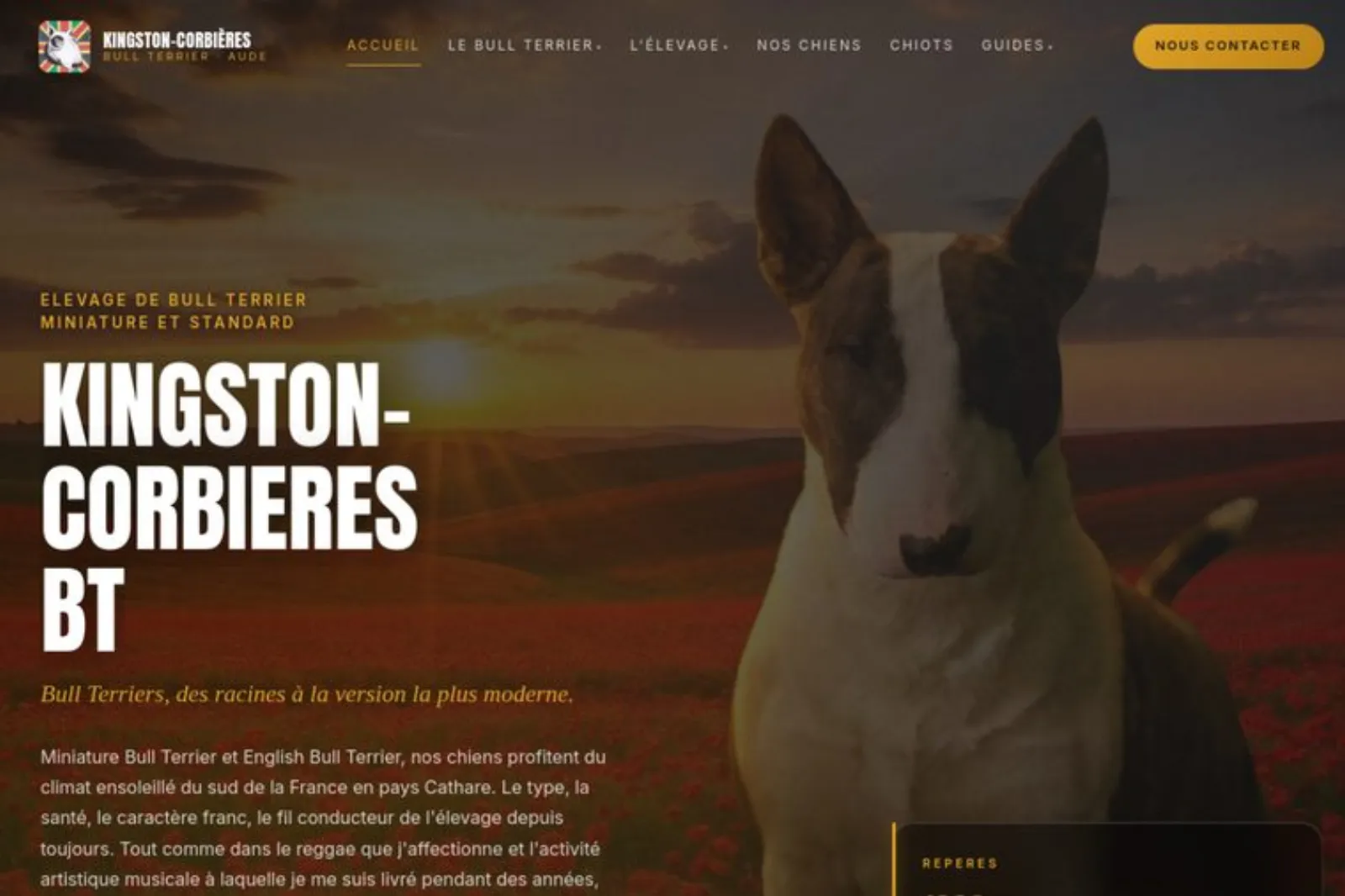 Screenshot Kingston Corbières