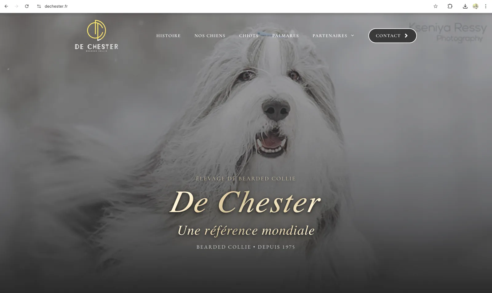 Screenshot De Chester Kennel