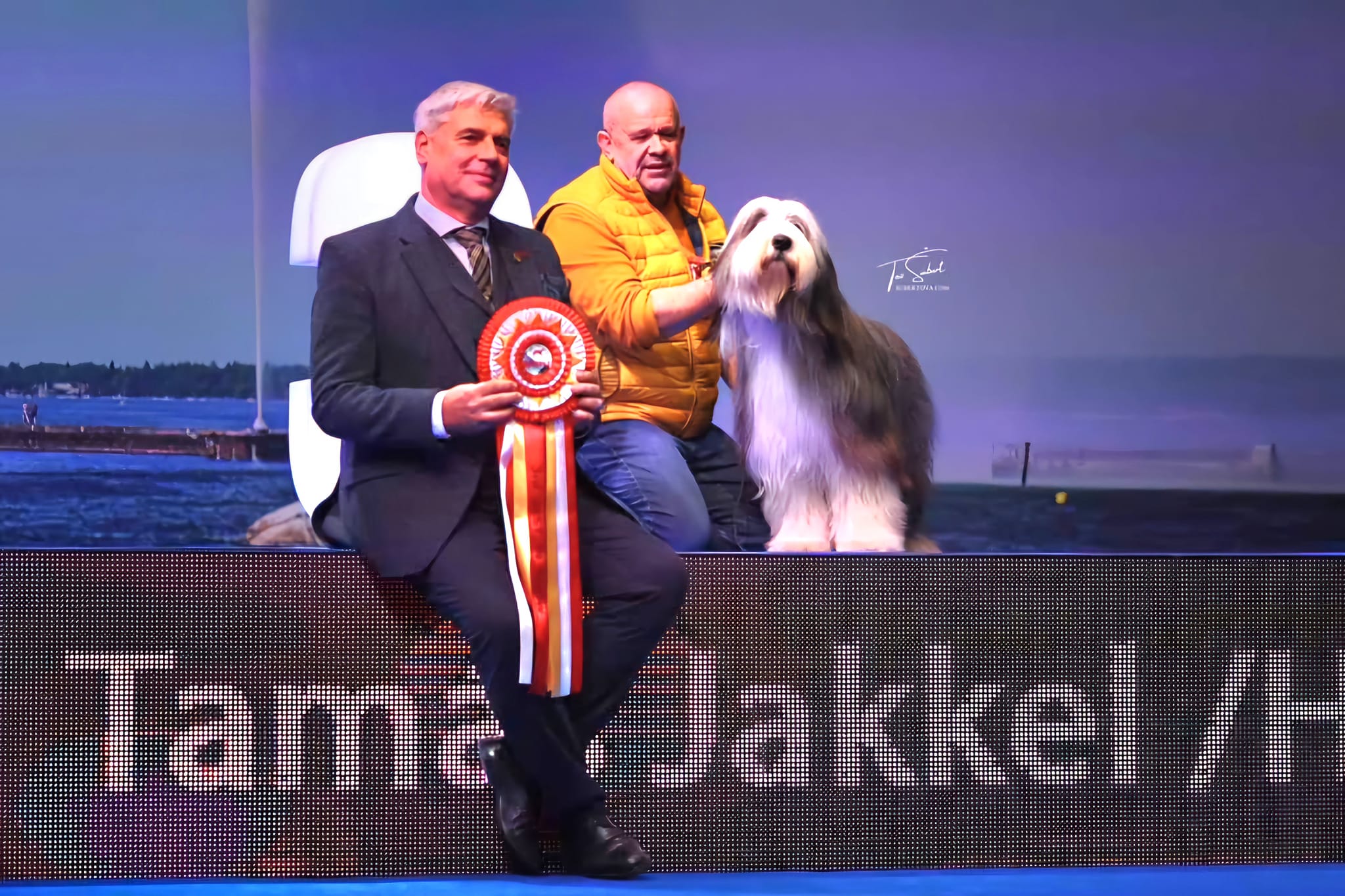 Blood Reina - Berger Blanc Suisse Blood Reina - Berger Blanc Suisse