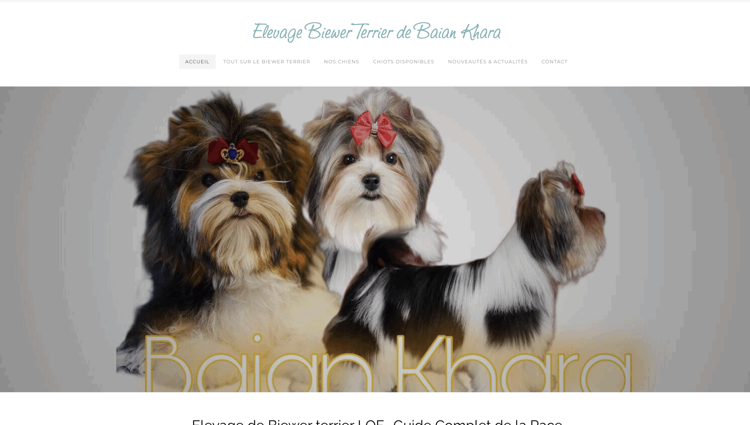 Site Weebly avant refonte - Élevage Biewer Terrier