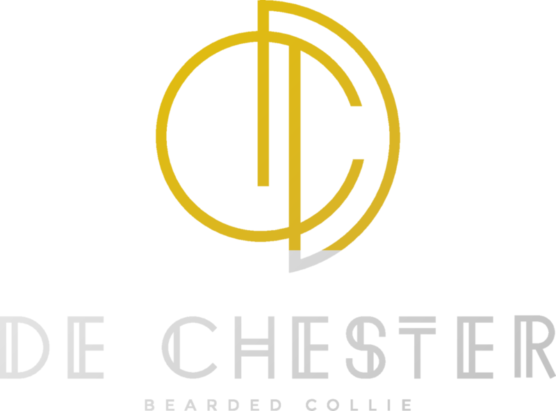 Logo De Chester - Élevage de Bearded Collie