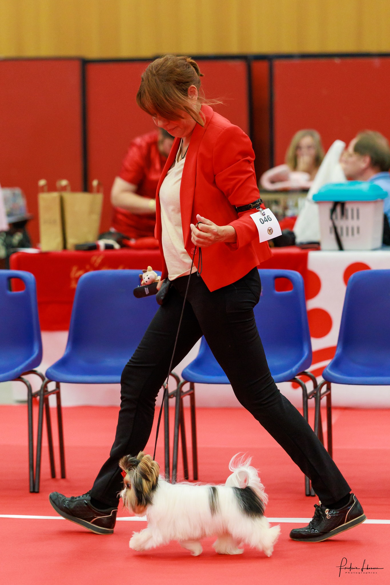 Nathalie Touretta - Éleveuse Biewer Terrier